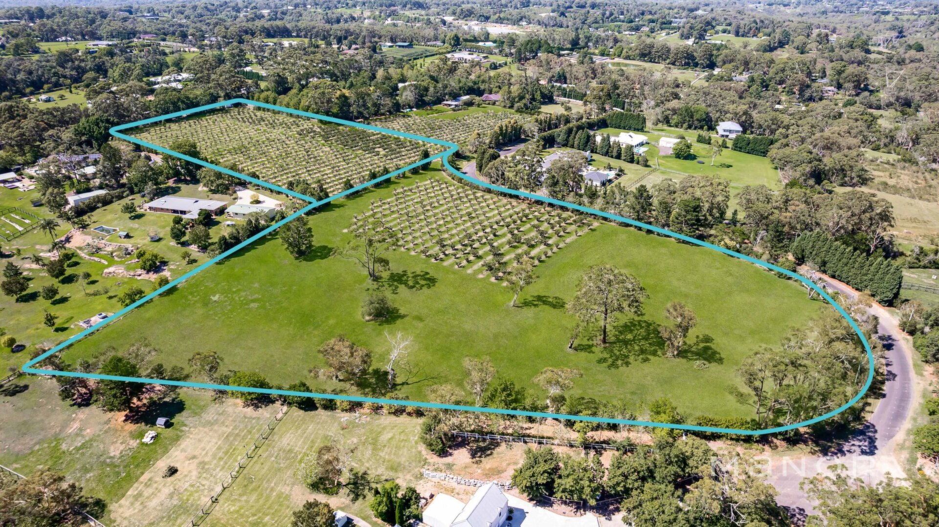 8 10 Henstock Road Arcadia